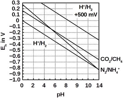 Electric Stimulation of Ammonotrophic Methanogenesis